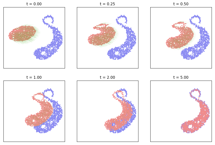 Wasserstein gradient flow Wasserstein gradient flow