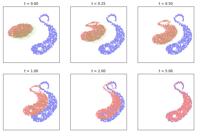 Wasserstein gradient flow